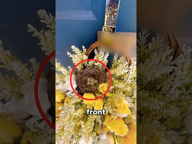 I found a bird nest on my door…