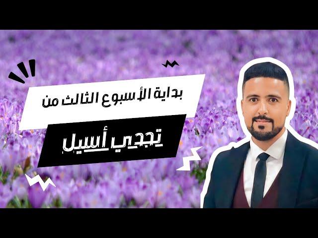 تحدي شهر أكتوبر لانقاص الوزن: الأسبوع الثالث