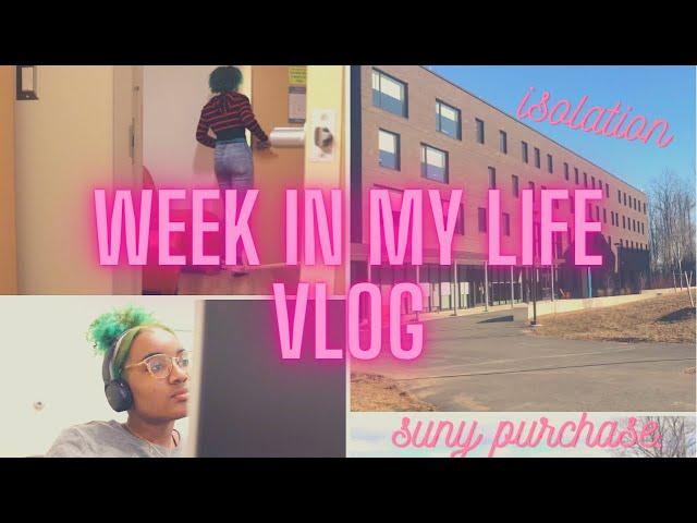 SUNY Purchase College - Week in my life vlog (isolation) 2021