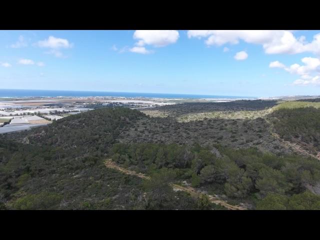 Carmel mountain