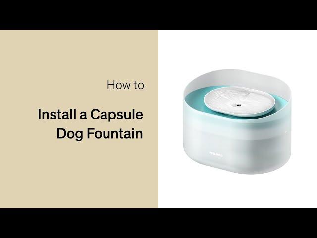 How to Install Your Fountain | Petlibro Capsule Dog Fountain