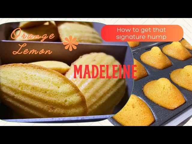 How to get that signature hump in your French Madeleine and with a hint of Orange and Lemon flavour