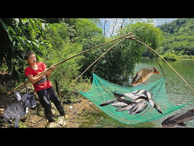 Orphan boy -Thanh harvests fish after Typhoon Yagi to sell, picks up stray puppy and brings it home