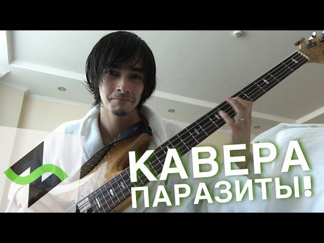 Кавер группы - паразиты! [Стрим 9]