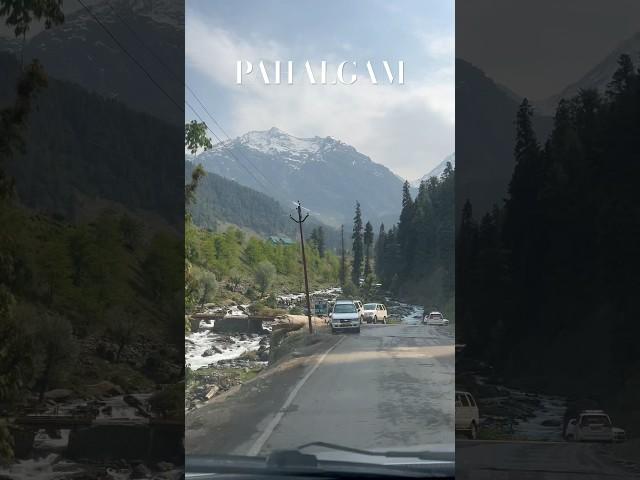 Nature’s masterpiece in Pahalgam #kashmir #pahalgam #shorts #ytshorts #youtubeshorts #kashmirvalley