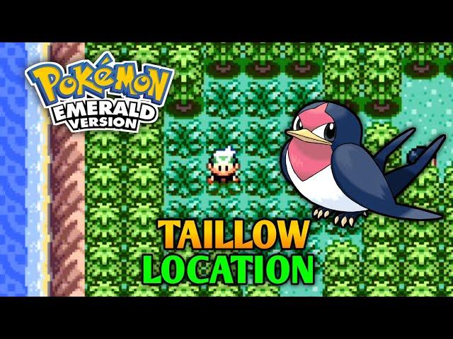 How To Catch Taillow In Pokemon Emerald - Taillow Location