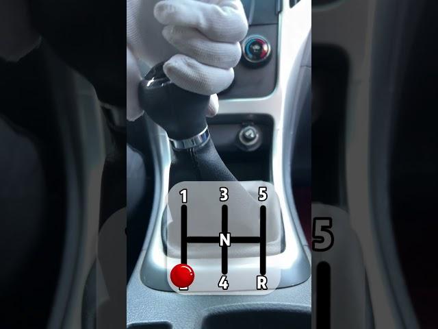 Learning to drive starts with learning to put into gear #car #drivinglessons #funny