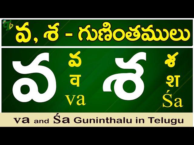 వ, శ గుణింతాలు | Va, Sa gunintham | How to write Va, Sa guninthalu |Telugu varnamala Guninthamulu