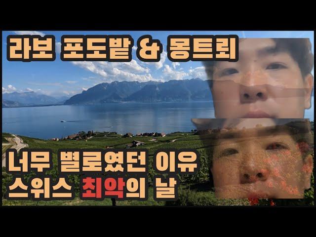 몽트뢰, 라보포도밭 가지마세요 | 스위스 기분 최악의 날 | 스위스 여행 브이로그