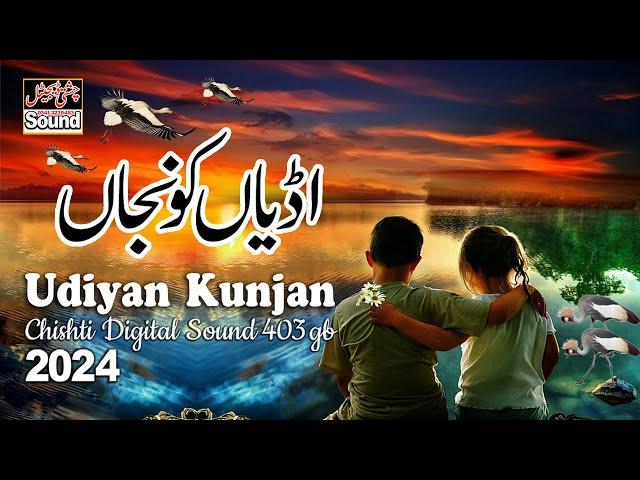 Udiyan Kunjan || Best Punjabi Song 2024 || Chishti Digital Sound 403 GB