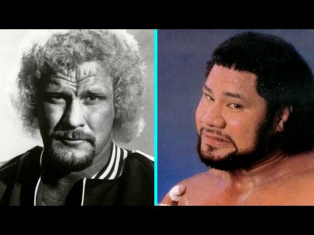 WRESTLING SHOOT| Dr  D David Schultz on Fighting Haku For Real