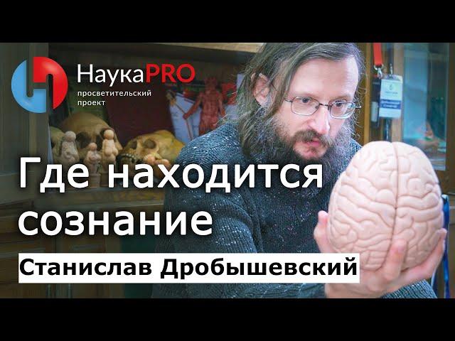 Где находится сознание? – Станислав Дробышевский | Лекции по антропологии | Научпоп