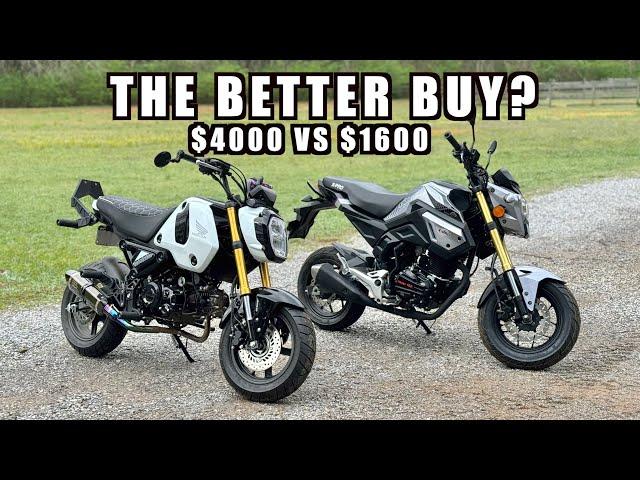 VADER 150 VS GROM 125 | DIALED OR BUDGET FRIENDLY |