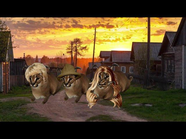 ВАНЯ СЫН 1 СЕРИЯ (Бабушка) #russia #актив #youtube