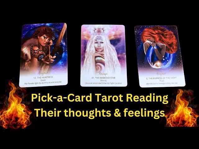 I will be your flame️‍/Their thoughts & feelings/Pick-a-Card Reading