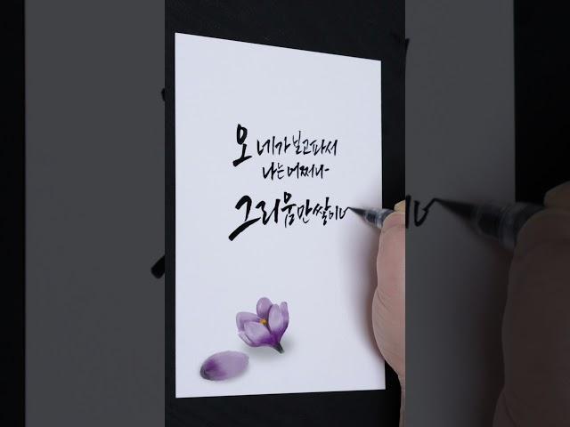 임영웅 그리움만 쌓이네 가사 캘리그라피 | 청연캘리