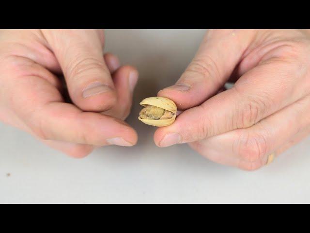 You've Been Opening Pistachios Wrong Your Entire Life