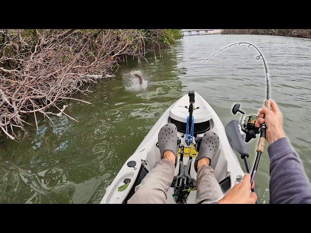 Backwater Mangrove Fishing New Waters! South Florida Kayak Fishing