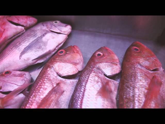 CSIR research on mercury in fish informs consumer choices