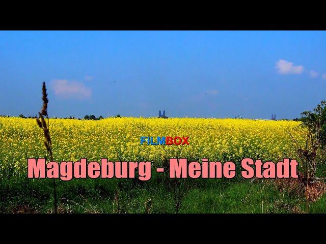 Magdeburg  - Meine Stadt / 3