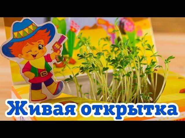 Живая открытка. Ranok Creative.