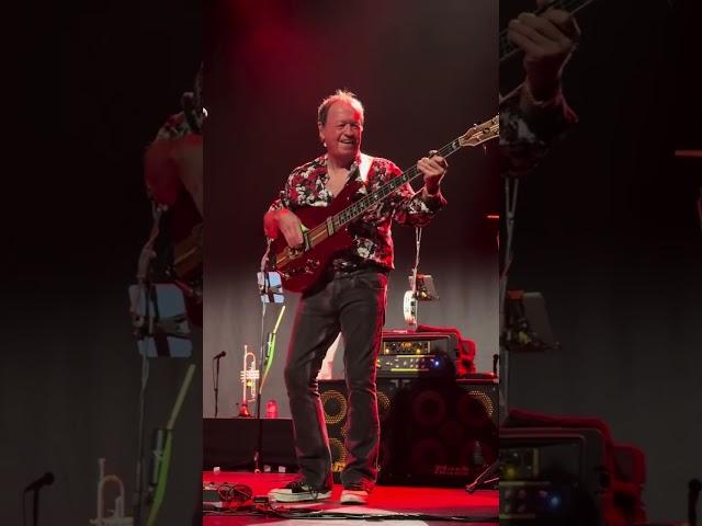 Mark King (Level 42) - Bass Improvisation in LOVE GAMES live at Arnhem 11.11.2024