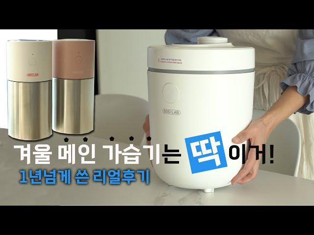 습도 쭉쭉 올려주는! 세척 쉬운!! 가습기 추천 |  디디오랩 가열식 가습기 공동구매