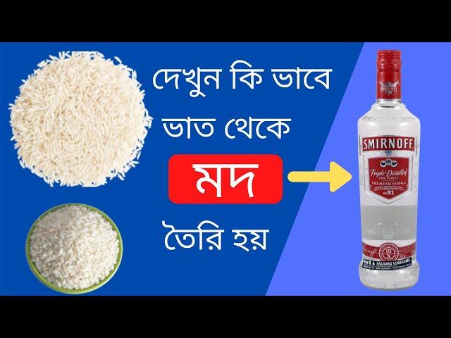 কি ভাবে (ভাত) থেকে দেশি মদ তৈরি হয় । VODKA MAKING PROCESS | খাওয়ার কথা ভুলেও ভাববেন না।