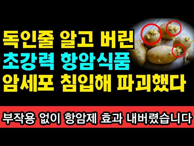 항암제 효과의 10분의 1의 힘을 가진 최고의 항암식품 1가지 I 과학적으로 검증된 항암식품 50가지 I 니시노 호요쿠 I 암이 사라지는 식사 I 암 억제 식품사전