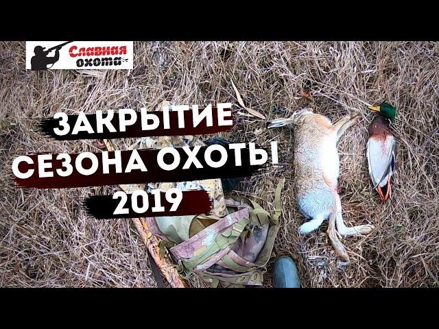 Как я закрыл сезон охоты на Кубани 2019\\Славная Охота