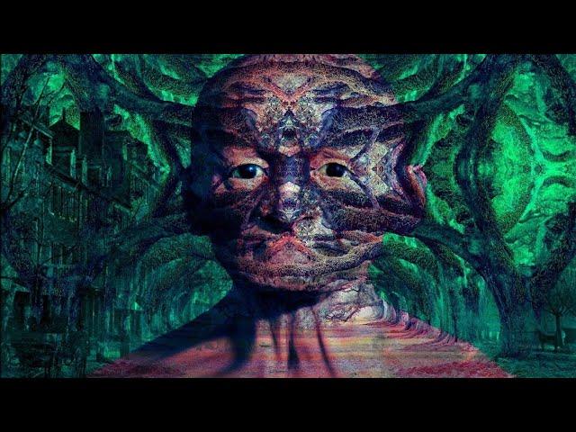 The Most Mind-Bending Salvia Trips of All-Time | Part One