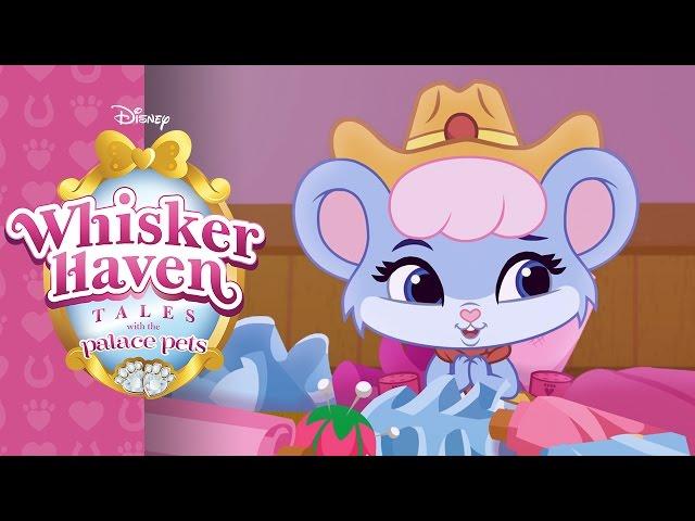 Whisker Haven Tales with the Palace Pets | Briezy Does It | @disneyjr