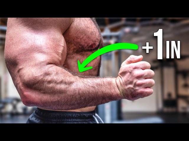 Want Huge Forearms? I Gained 1 Inch Using THIS Science-Backed Method!