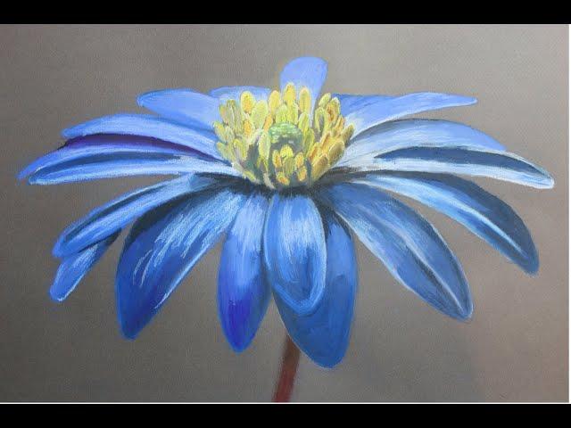 How to Draw a Realistic Flower in Soft Pastel Easy  #shorts