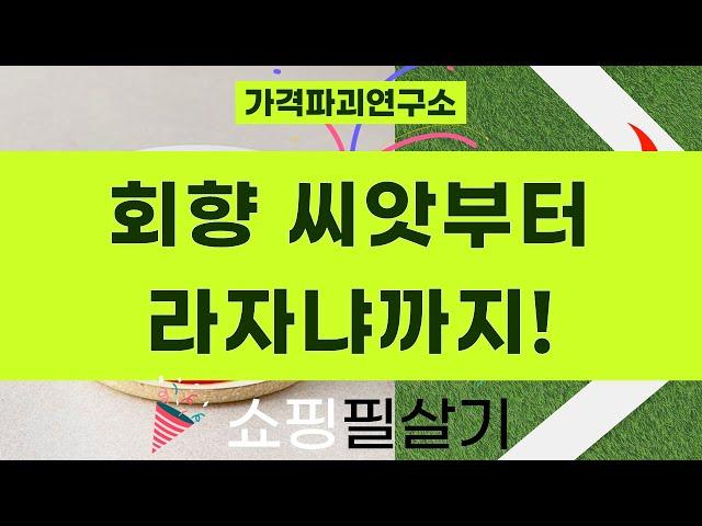 회향씨앗부터 라자냐까지! 간편하게 즐기는 주방템 쇼핑 꿀팁