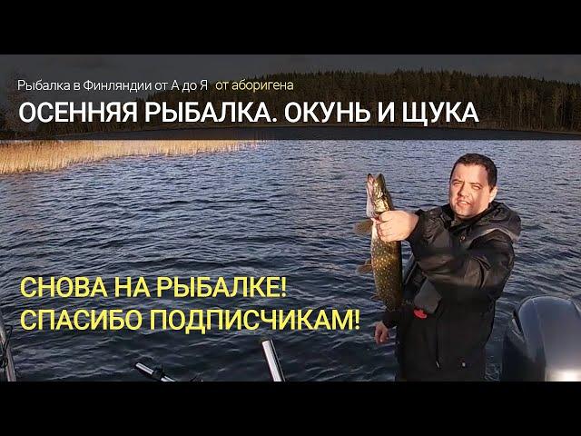 Осенняя рыбалка в Финляндии. Джиговый окунь и щука на воблеры