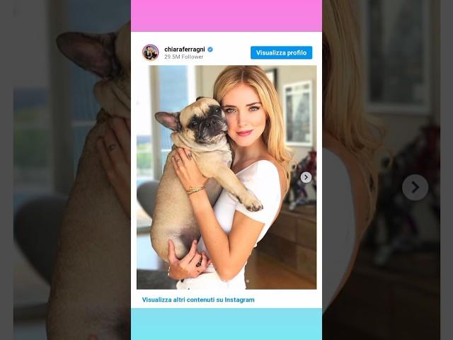 È morta Mati, la cagnolina di Chiara Ferragni: la reazione di Leone è commovente #shorts #ferragnez