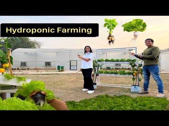 बिना मिट्टी हाइड्रोपोनिक खेती || Hydroponic Farming Economics || Vertical Farming || Hello Kisaan