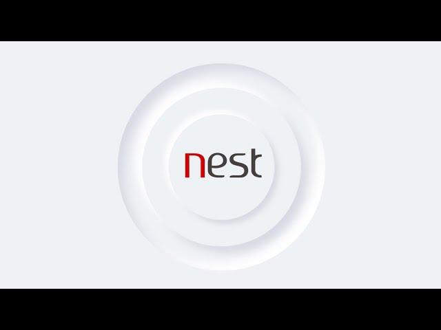 Marketing Nest - Keep Searching...