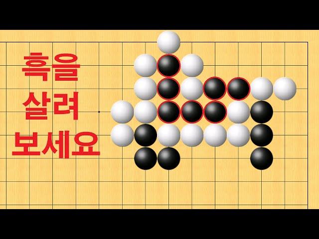 바둑 맥점 사활 - 기가막힌 묘수가 나옵니다. 흑을 살려보세요