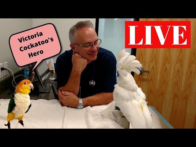 Why I Think Avian Vet Care is Important | Bird Room Talk Tuesday