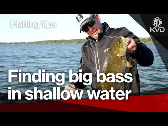 How to find big bass in shallow water in the fall