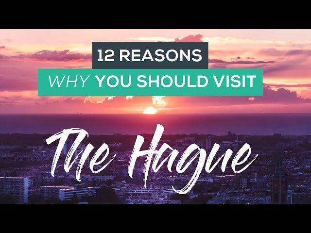 12 Reasons Why You Should Visit The Hague