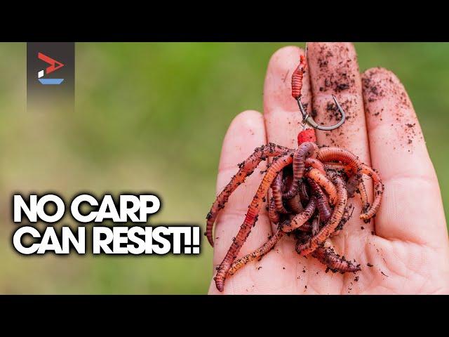 Carp Can't Resist This! | Ali Hamidi's WORM Rig | Carp Fishing | One More Cast