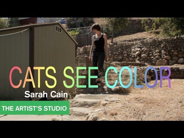 Sarah Cain - The Artist's Studio - MOCAtv