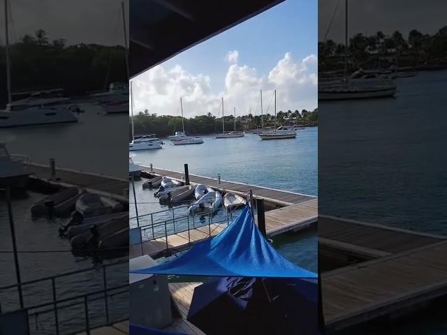 #travel #travelvlog #vlog #relax #travelphotography #travelpics #stvincentandthegrenadines