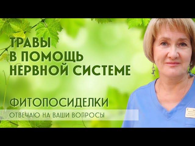 СПРАШИВАЛИ – ОТВЕЧАЕМ / Нервная система