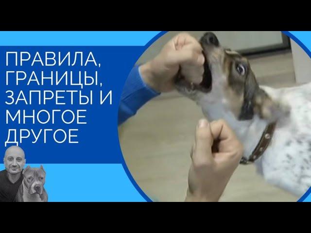 Правила, границы, запреты и многое другое