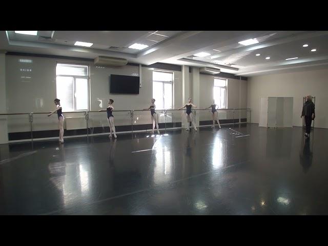 Мастер-класс по классическому танцу, преподаватель Маландина Наталья Александровна
