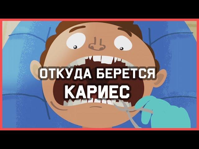 Edu: Откуда берется кариес?